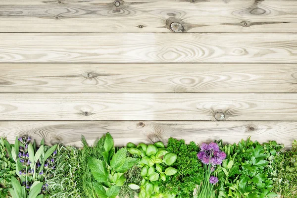 Frische Küchenkräuter Auf Holzuntergrund Biolebensmittelkonzept — Stockfoto