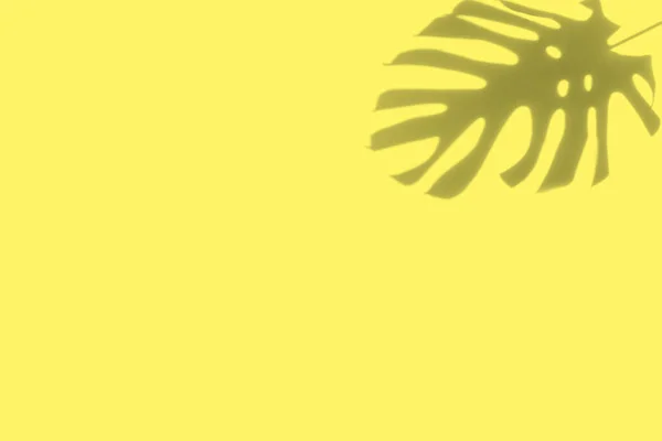 Exotische Monstera Blatt Schatten Auf Sommer Gelb Hintergrund — Stockfoto