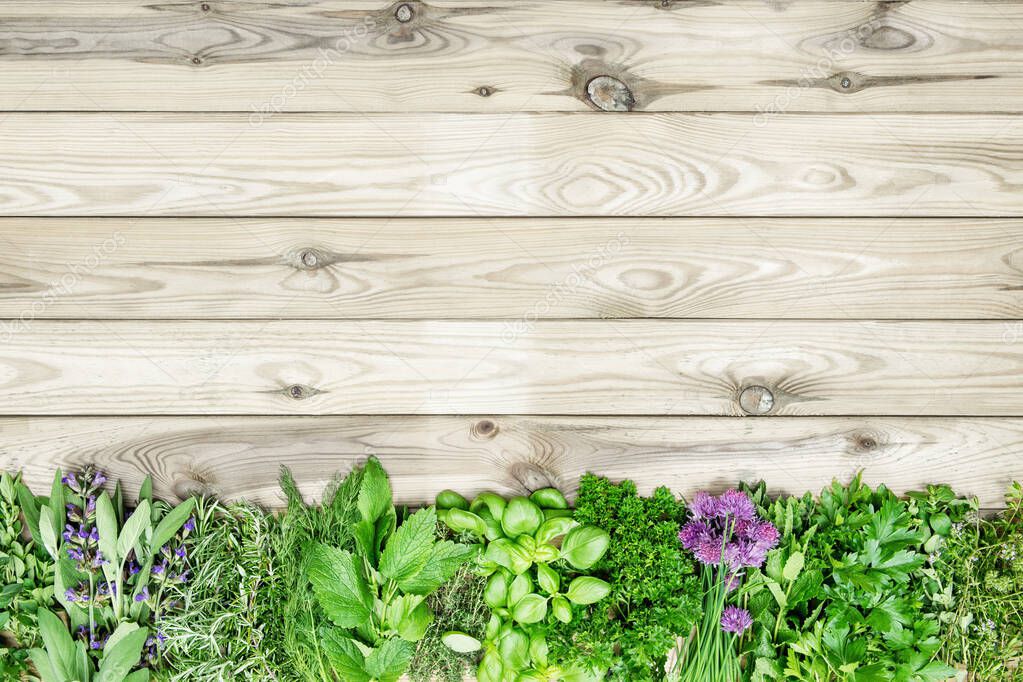 Fresh kitchen herbs on wooden background. Organic food concept