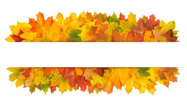 Arka planda kal. Metnin için sonbahar pankartı boş bırakır