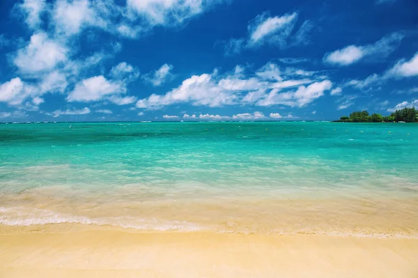 Landschaft Aus Tropischem Sandstrand Mit Wolkenlosem Blauen Himmel — Stockfoto