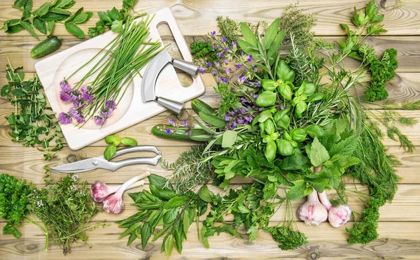 Food background. Fresh herbs and vegetables. Basil, parsley, mint, thyme, chive, garlic