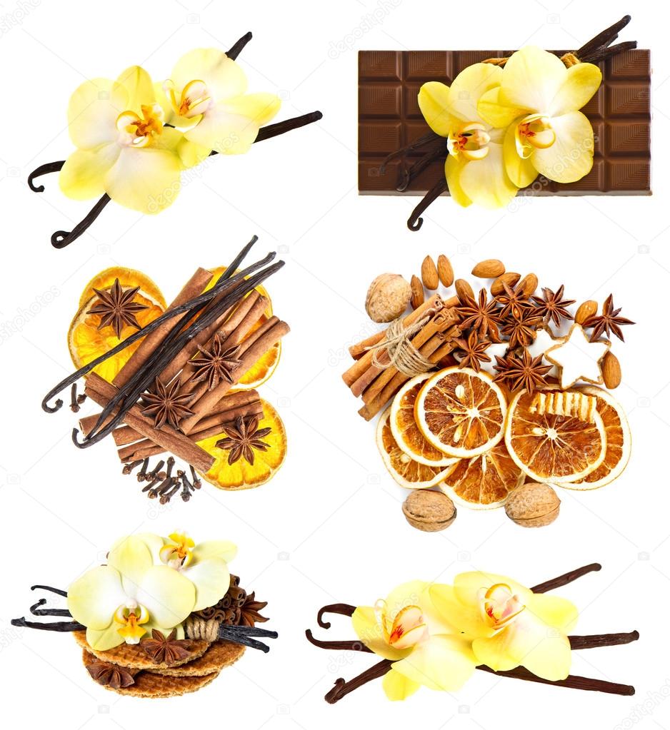 vanilla pods with orchid flower, cinnamon sticks, anise stars