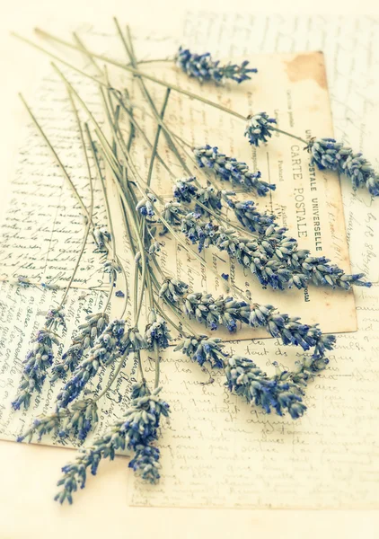 Flores de lavanda secas y viejas cartas de amor — Foto de Stock