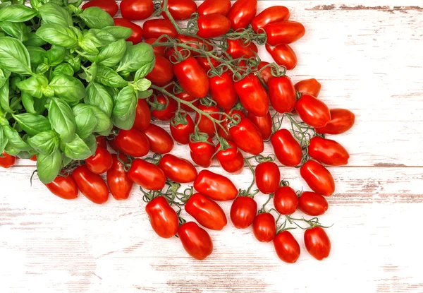 Planta de manjericão fresco e tomates cereja. fundo alimentar — Fotografia de Stock