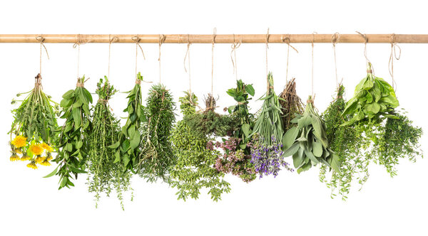 Fresh herbs hanging isolated on white. basil, rosemary, thyme, m