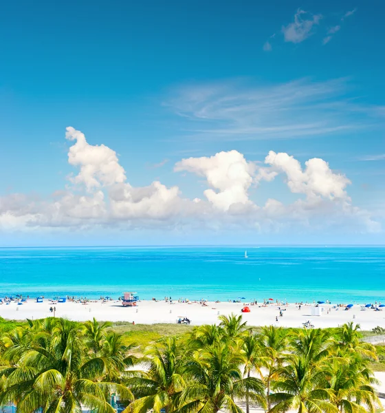Ciel bleu, eau turquoise, palmiers. Miami Beach, Ocean Drive — Photo