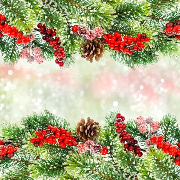 Christmas tree branch with red berrries — Stock Photo, Image