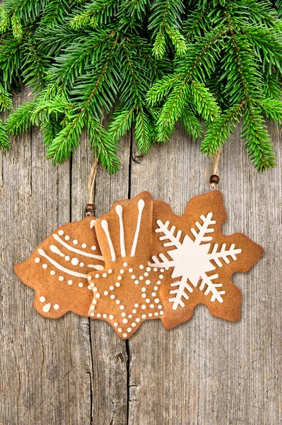 Ramo di albero di Natale con decorazione biscotti di pan di zenzero — Foto Stock