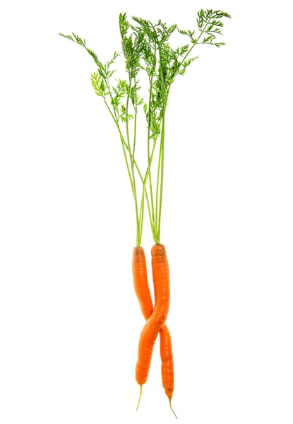 Zanahorias con hojas verdes. hortalizas frescas crudas — Foto de Stock