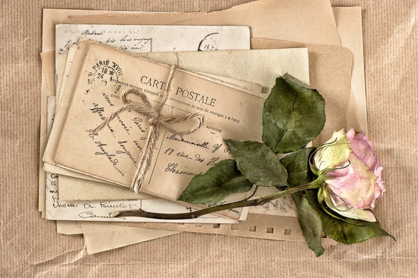 Flor de rosa seca e cartas velhas. livro de recortes — Fotografia de Stock