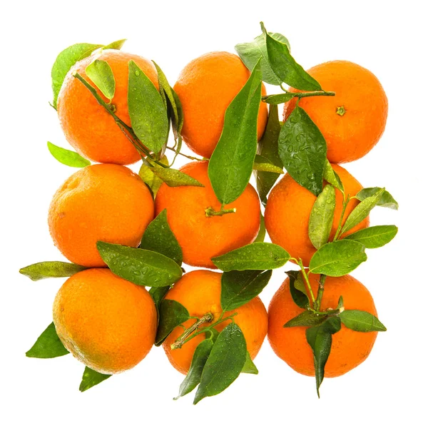 Mandarins with green leaves. — Stock Photo, Image