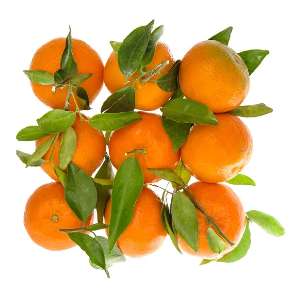 Mandarins with green leaves. — Stock Photo, Image