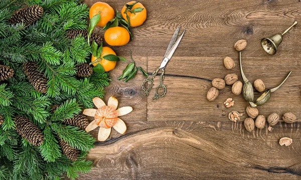 Mandarin dan cabang pinus — Stok Foto