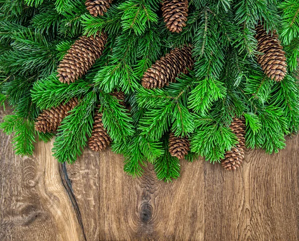 Ramas de árbol de Navidad — Foto de Stock