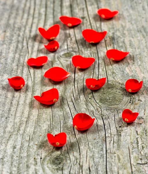 Czerwone płatki róż na drewnianym tle — Zdjęcie stockowe