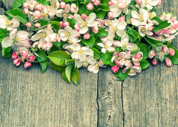 Apfelbaum Blumen auf hölzernem Hintergrund — Stockfoto