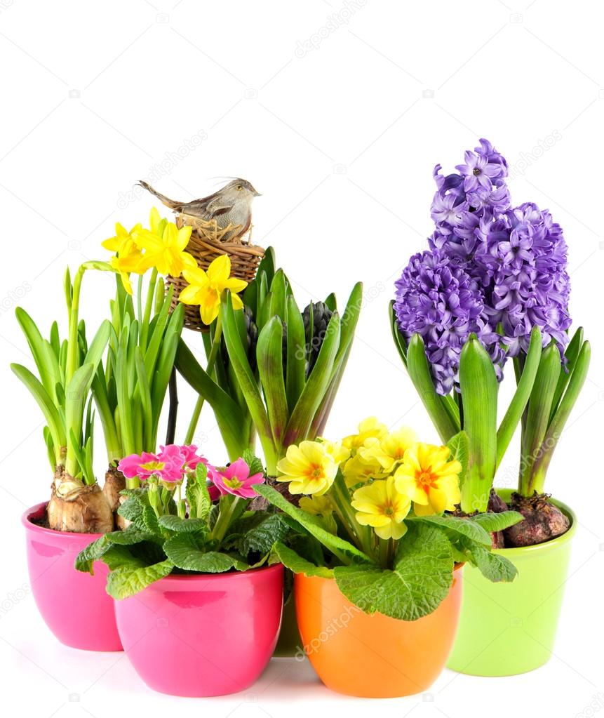 spring flowers with birds nest. colorful easter decoration