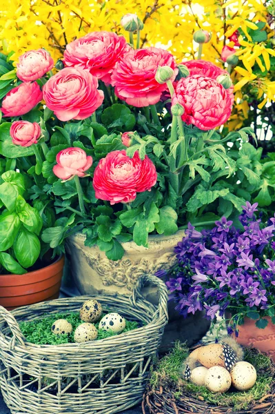 鲜花和复活节彩蛋 — 图库照片