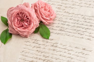 El yazısıyla mektup üzerinde pembe Gül çiçek