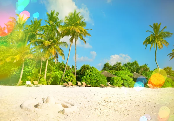Île tropicale avec palmiers. — Photo