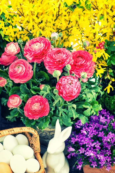 Jarní květiny s velikonoční dekorace — Stock fotografie