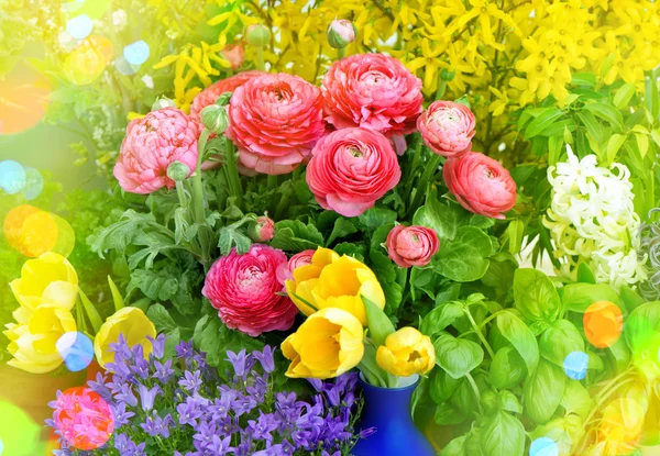 Frühlingsblumen mit leichten Lecks — Stockfoto