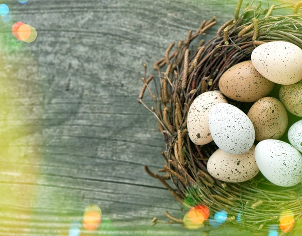 Huevos de Pascua en el nido — Foto de Stock