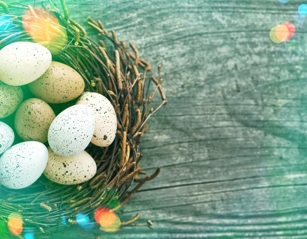 Huevos de Pascua en el nido —  Fotos de Stock