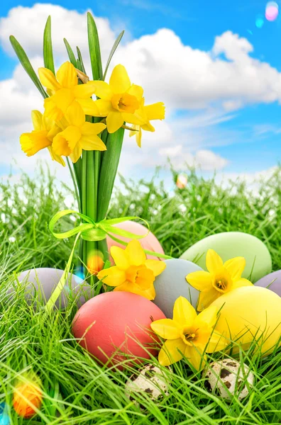 Decorazione uova di Pasqua e narcisi fiori — Foto Stock