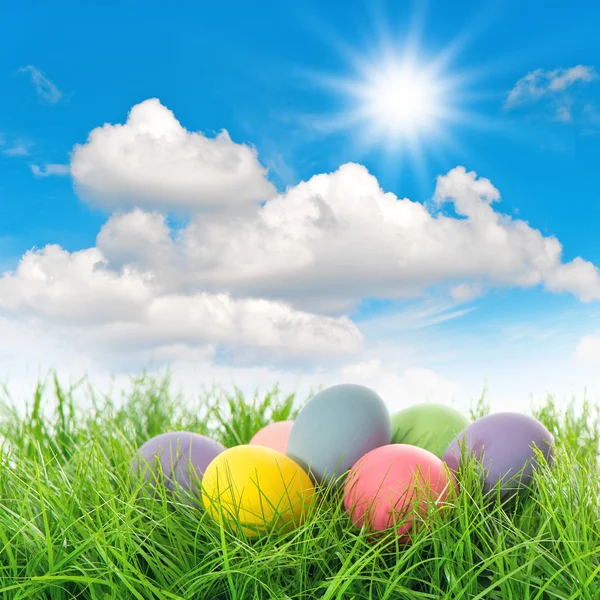 Easter eggs in green grass — Stock Photo, Image