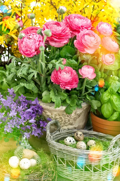 Blommor och påsk ägg dekoration. — Stockfoto