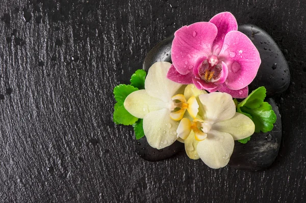 Concepto de spa con flores de orquídea — Foto de Stock