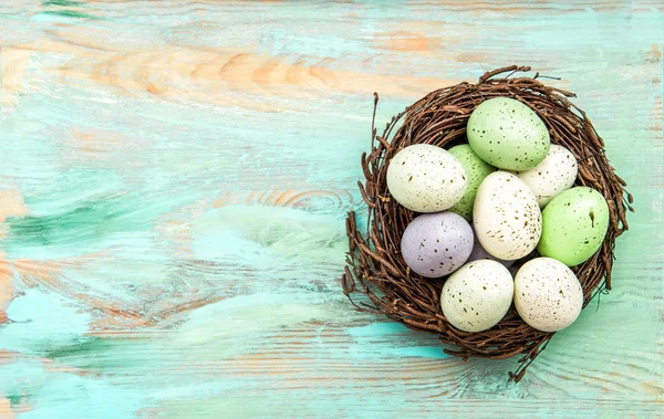 Pastel colored easter eggs in nest on wooden background — ストック写真