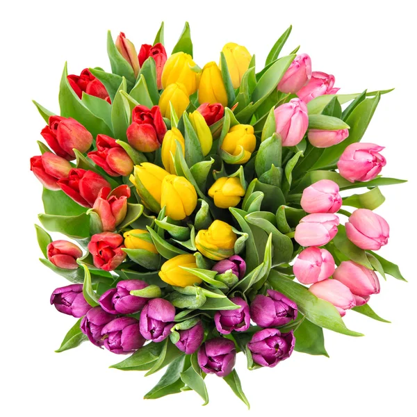 Bouquet of fresh spring tulip flowers isolated on white backgrou — Stok fotoğraf