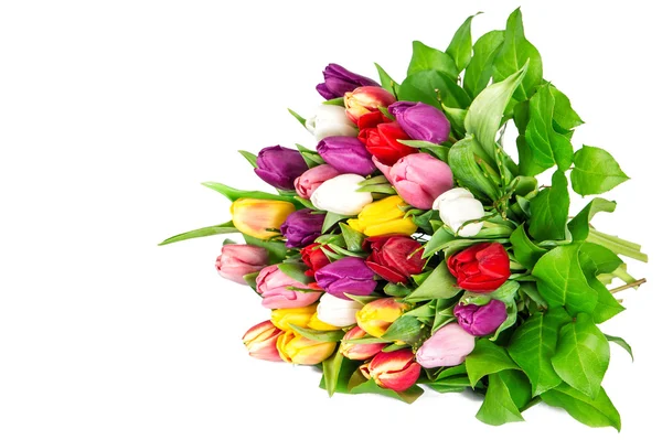 Strauß frischer mehrfarbiger Tulpen. Frühlingsblumen — Stockfoto