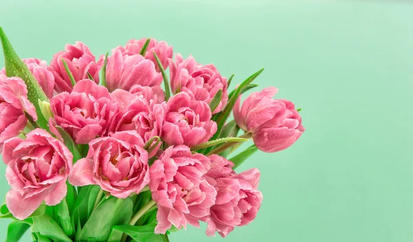 Flores de tulipán rosa con gotas de agua. Ramo de flores de primavera — Foto de Stock
