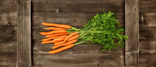 Свіжа морква дозріває з зеленим листям. Овочі. Концепція їжі — стокове фото