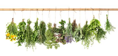 Fresh herbs hanging. Basil, rosemary, thyme, mint, dill, sage clipart