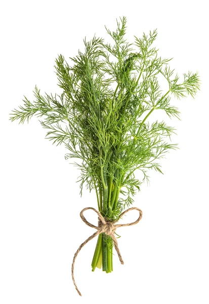 Dill ört isolerad på vit bakgrund. Livsmedelsingrediens. Condime — Stockfoto