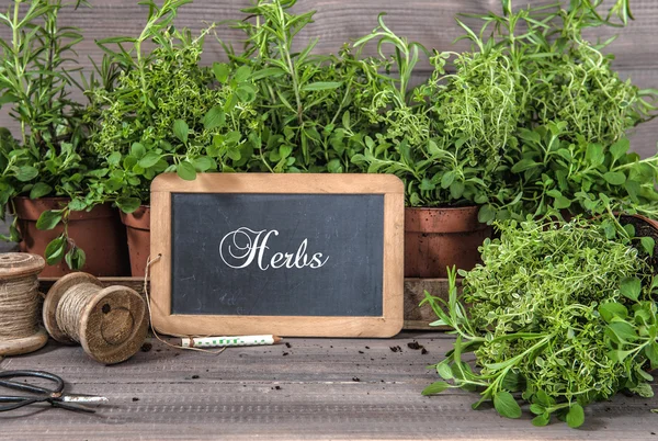 Fresh herbs with chalkboard and vintage tools. Food ingredients — Stock Photo, Image