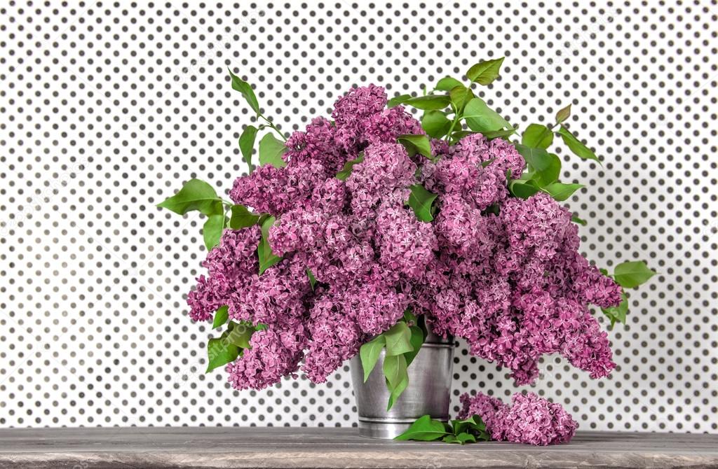 Bouquet of lilac blossoms on polka dot wallpaper background