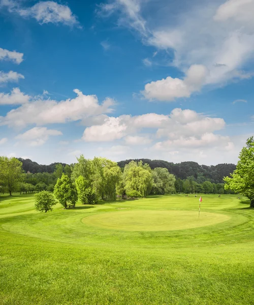 Golfbanan landskap. Fältet med grönt gräs, träd, blå himmel — Stockfoto