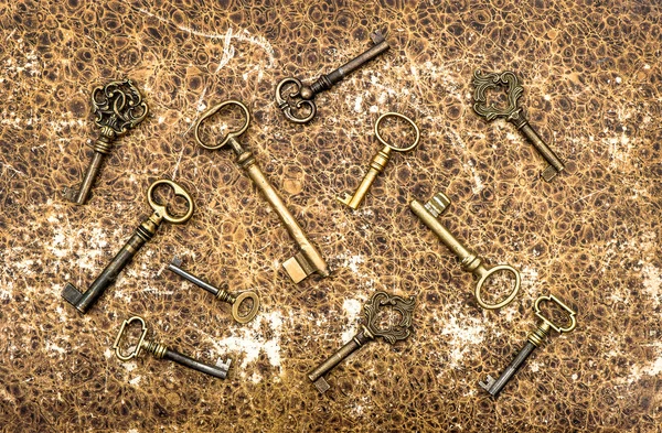 Antique golden keys over vintage animal leather background — Stock Photo, Image