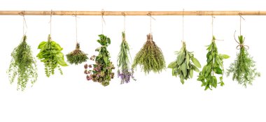 Hanging fresh herbs basil, sage, thyme, dill, mint, lavender