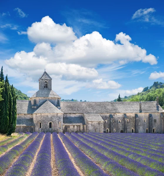 Beautiful landscape with medieval castle and cloudy blue sky — Stok fotoğraf