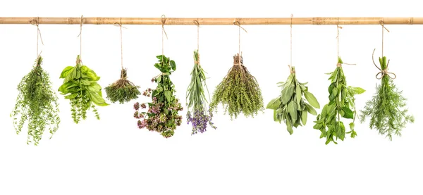 Pendurado ervas frescas manjericão, sábio, tomilho, endro, hortelã, lavanda — Fotografia de Stock