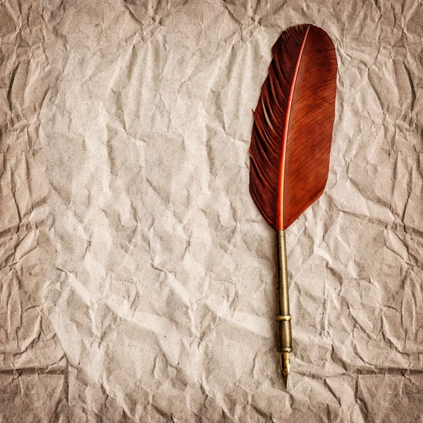 Aged paper with antique ink feather pen. Vintage style backgroun — Stock Photo, Image