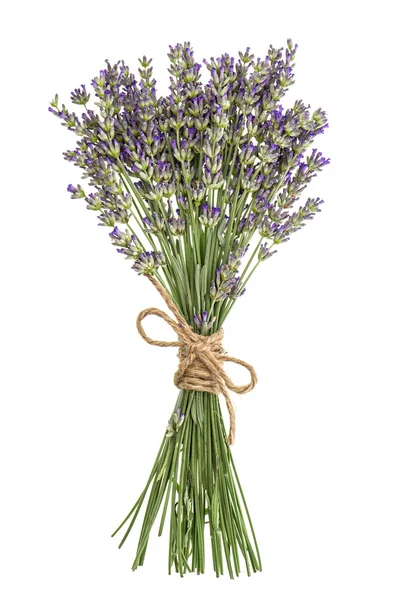 Lavendel blommor gäng isolerade på vitt. Färska provensalska bouque — Stockfoto