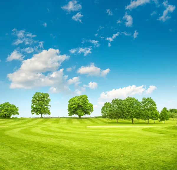 Golfové hřiště. Jarní pole s trávou a modrá obloha — Stock fotografie